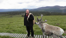 Herding Reindeer