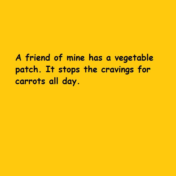 vegetable patch