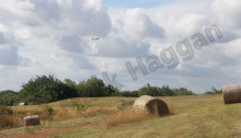 Harmondsworth Moor