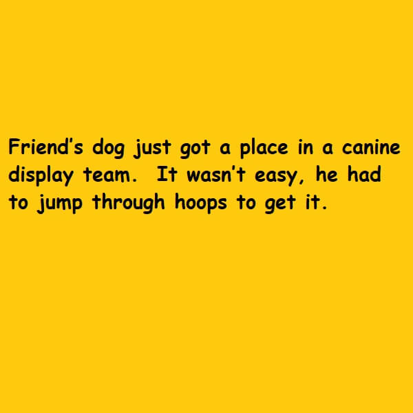 jump through hoops
