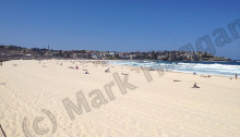Bondi Beach
