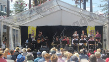 The Manly Jazz Festival