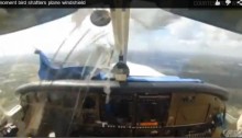A bird hits a plane window