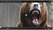 The Anti-texting bear