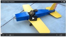 A squirrel steals a model plane