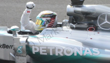 Lewis Hamilton celebrates winning the 2014 British Grand Prix