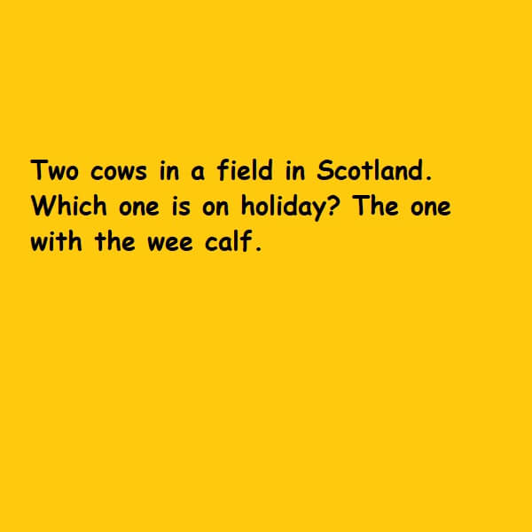week calf