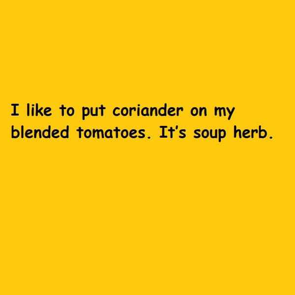 soup herb