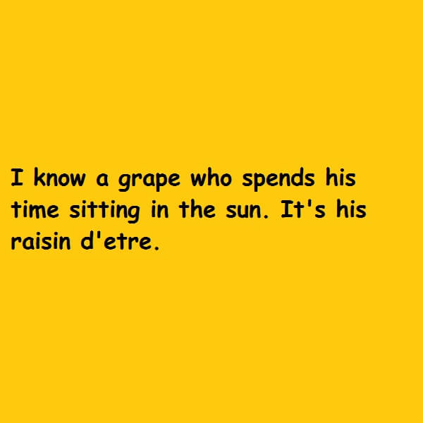 raisin detre