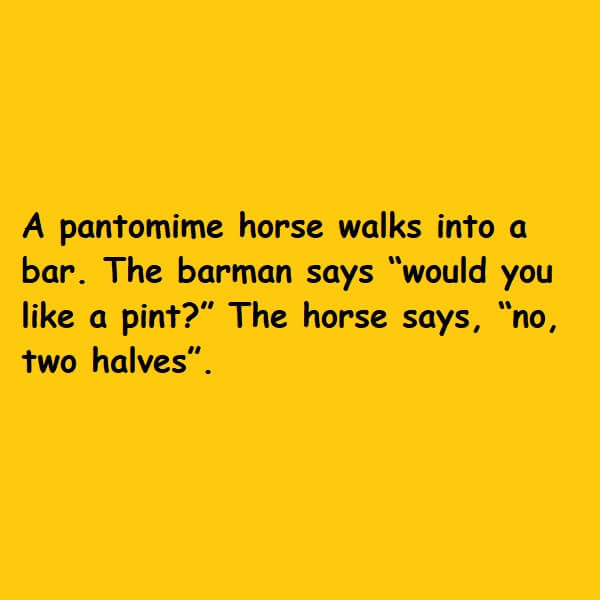 The horse says no two halves