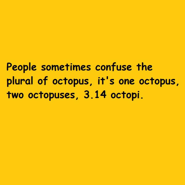 plural of octopus